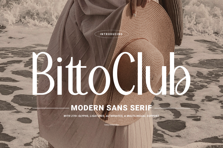 Bitto Club Font website image