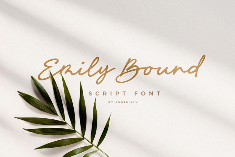 Emily Bound Font website image