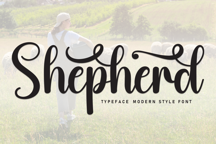 Shepherd Font website image