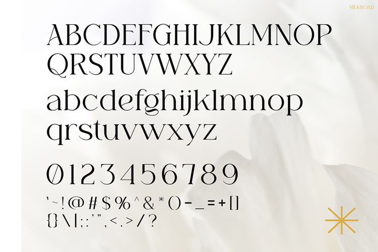 Silkroad Font website image