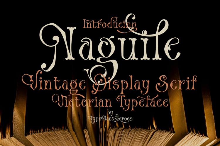 Naguile Display Serif Font website image