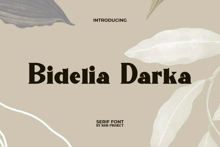 Bidelia Darka Font website image