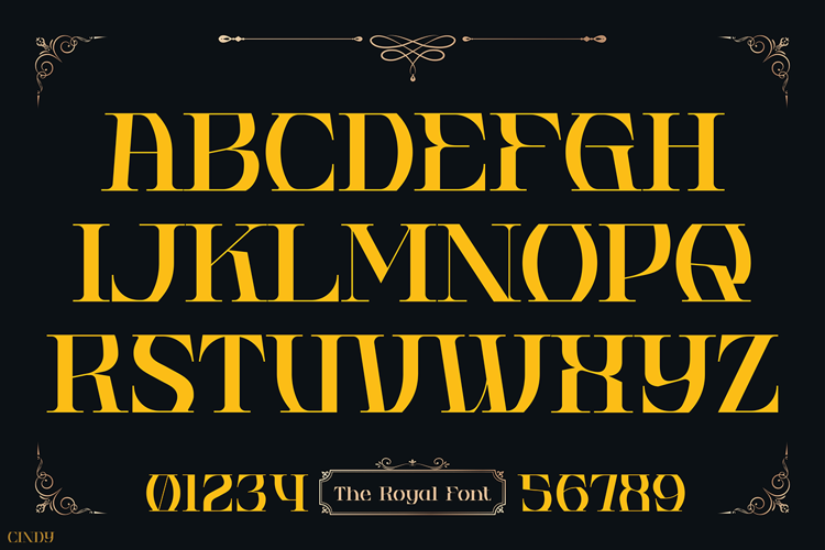 CINDY Font website image