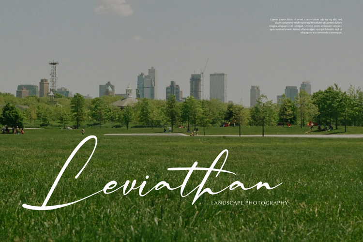 Palmintte Font website image