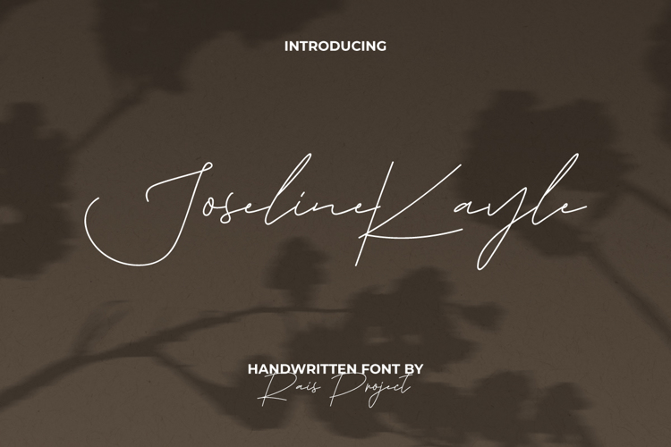 Joseline Kayle Font website image
