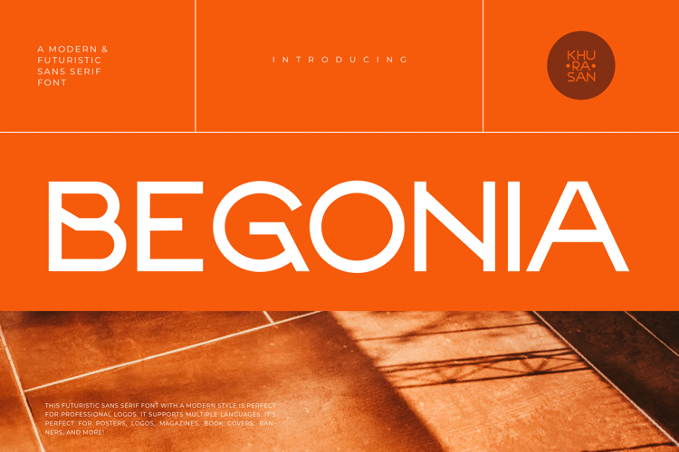 Begonia Font website image