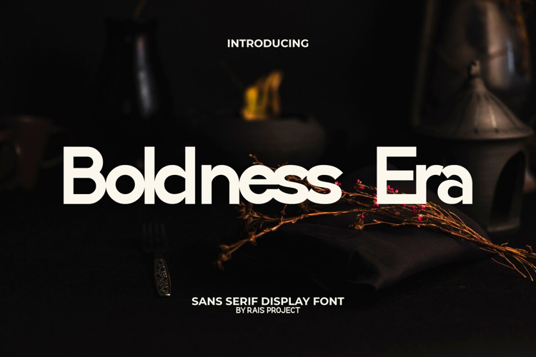 Boldness Era Font website image