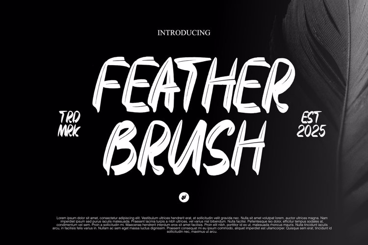 FEATHER BRUSH Font website image