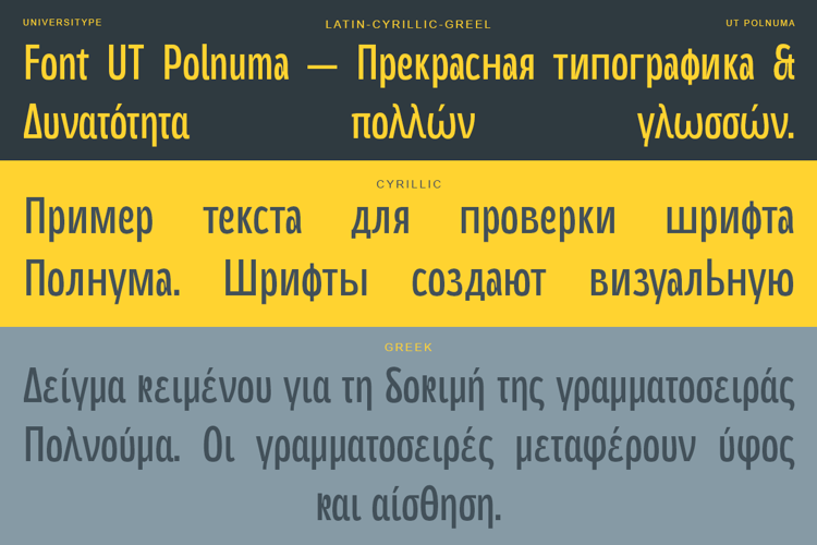 UT Polnuma Font website image