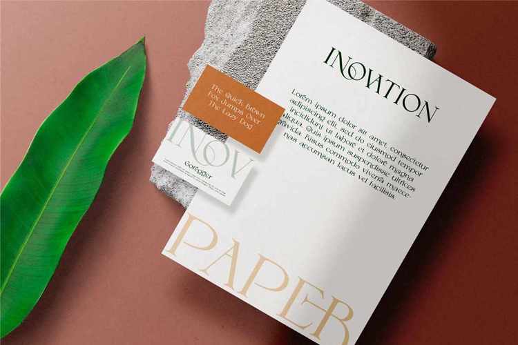 Geryna Font website image