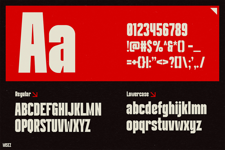 WISEZ Font website image