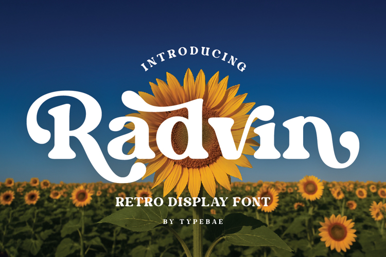 Radvin Font website image