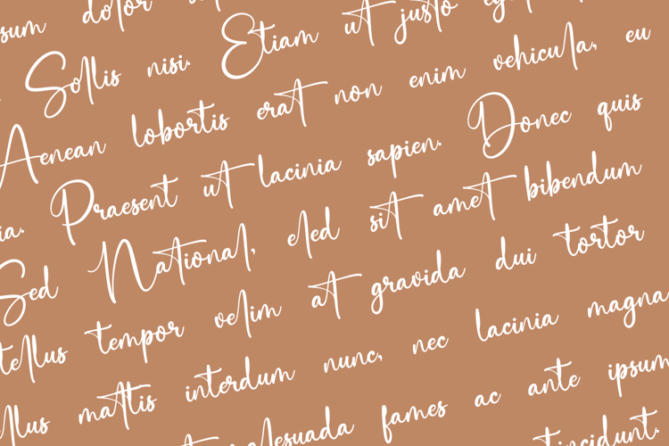 Saitingan Font website image