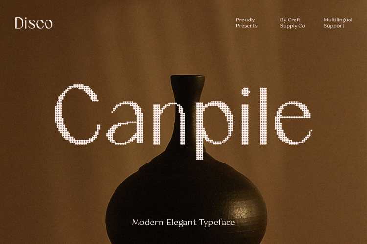 Canpile Disco Font website image