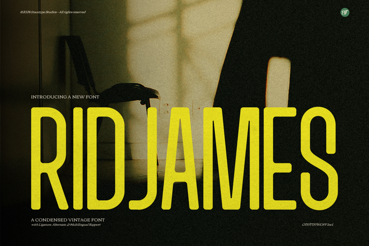 Ridjames Font website image