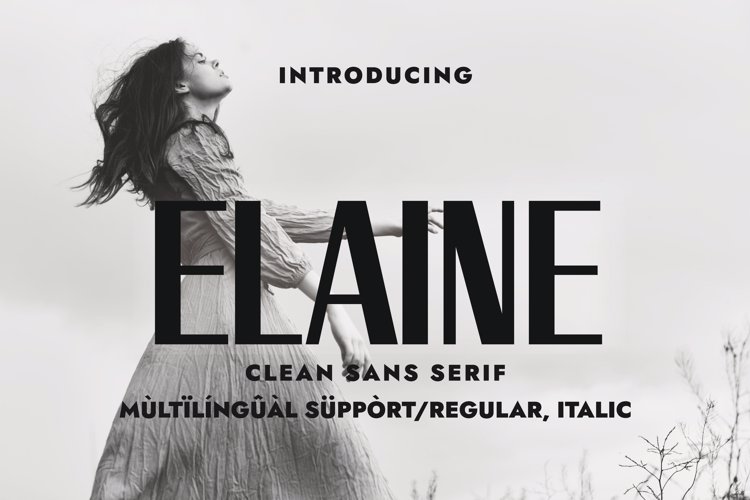ELAINE Font website image