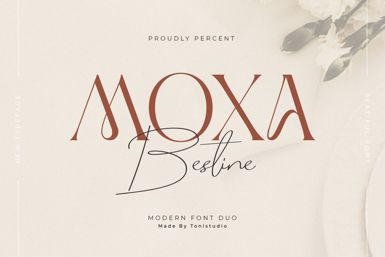 MOXA Bestine Font website image