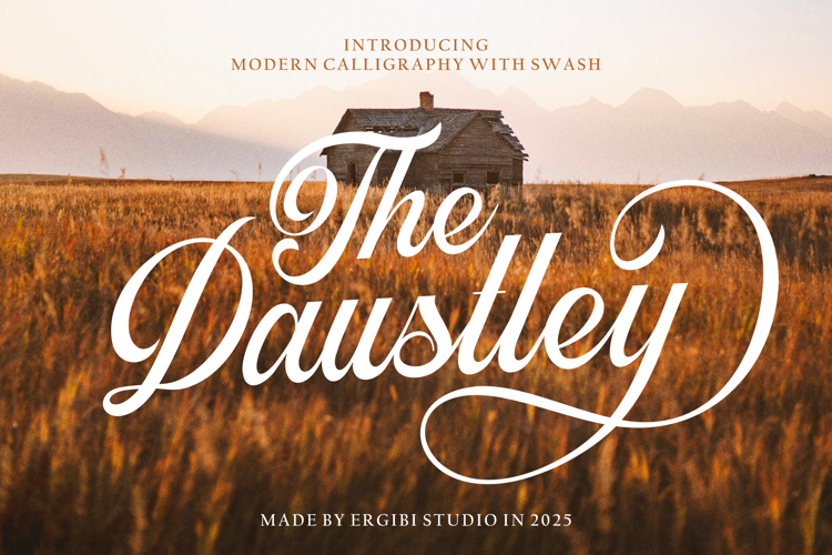 Daustley Font website image