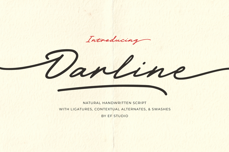 Darline Handwritten Font website image