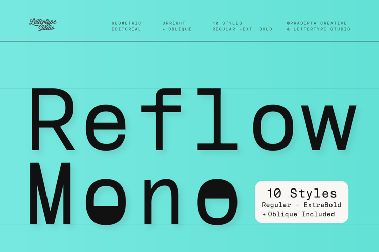 Reflow Mono Font website image