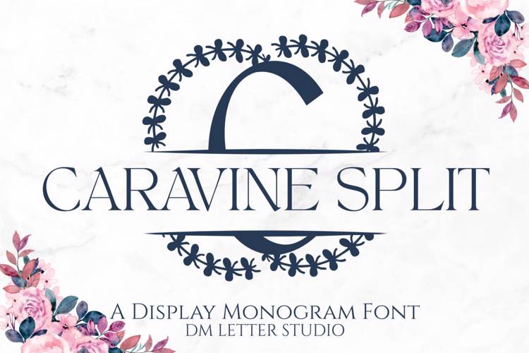 Caravine Split Monogram Font website image