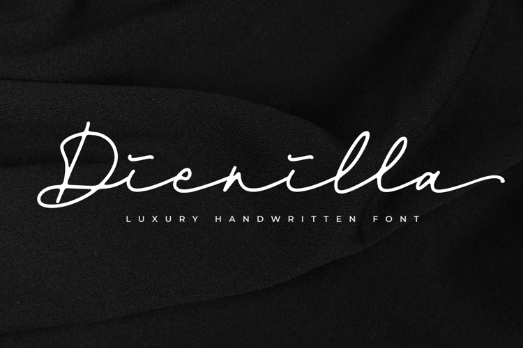 Dienilla Font website image