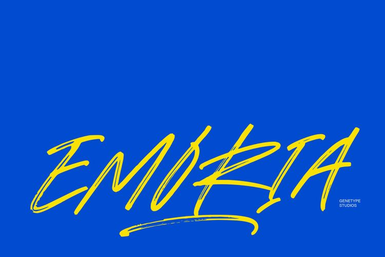Emoria Brush Font website image