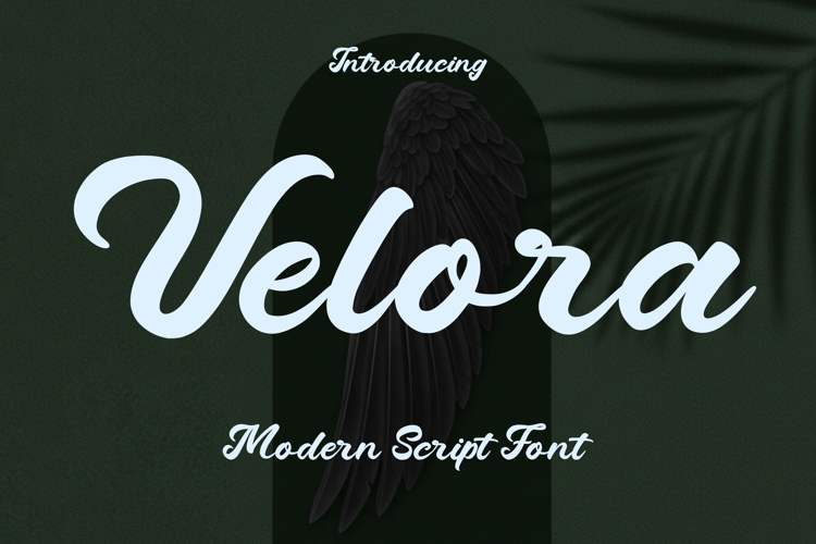Velora Font website image