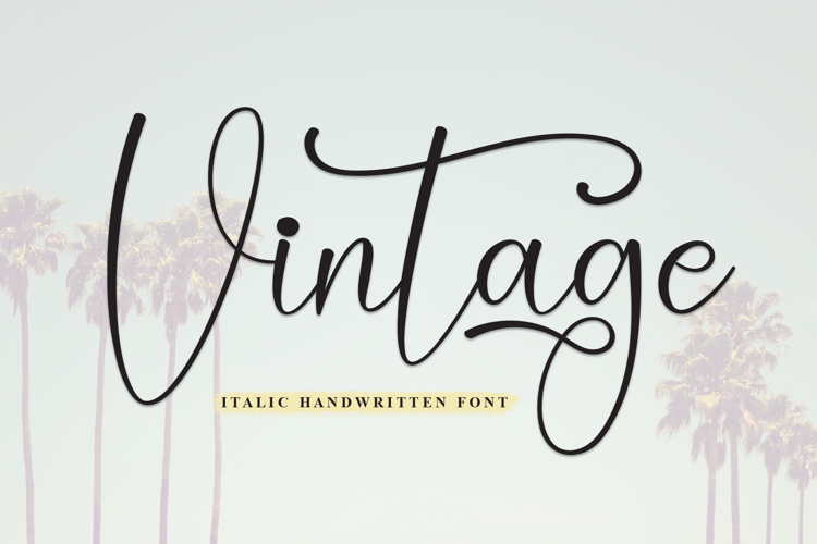 Vintage Font website image