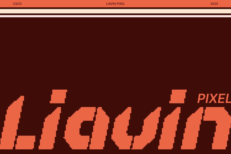 Liavin Pixel Font website image