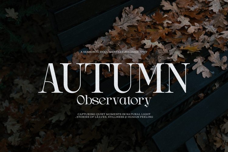 Drogel Font website image