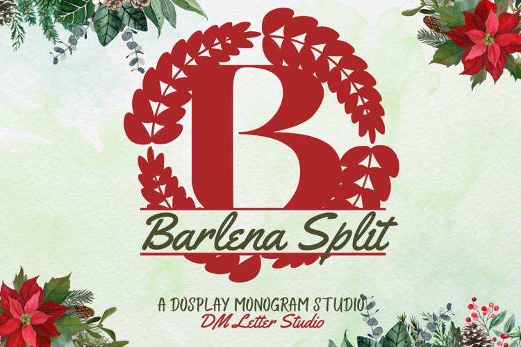 Barlena Split Monogram Font website image