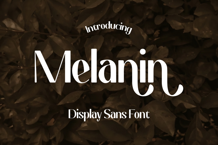 Melanin Font website image