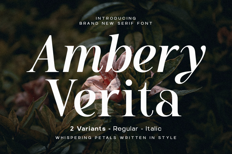 Ambery Verita Font website image